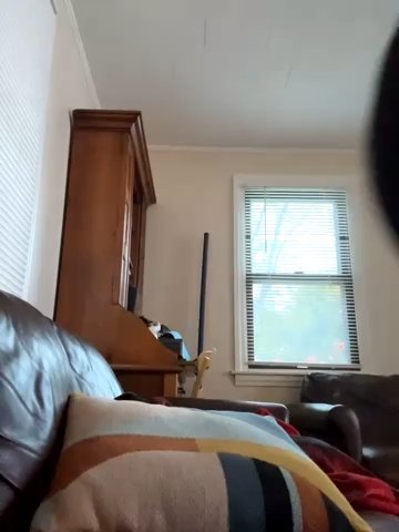 SpaceCowWhore live cam screenshot female from United States on Wobip – Live Webcams, Clips & GIFs — screenshot #1